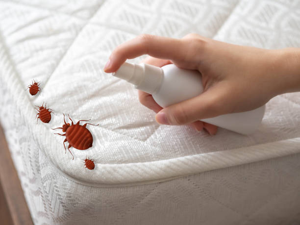 Best Commercial Pest Control Services  in Durand, MI