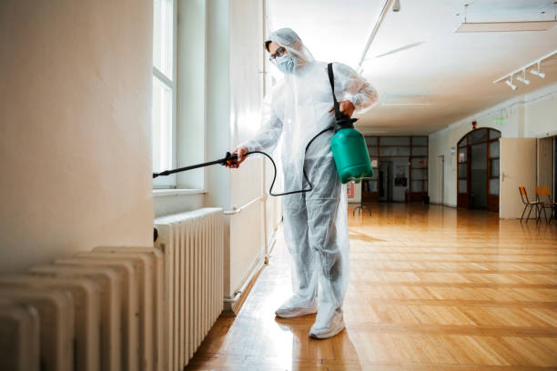 Best Pest Control Near Me  in Durand, MI