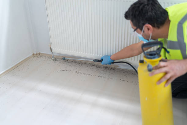 Best Termite Control Services  in Durand, MI