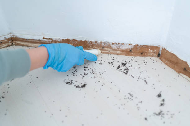Best Wildlife Control Services  in Durand, MI
