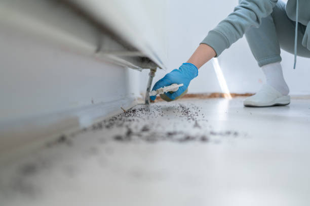 Best Affordable Pest Control Services  in Durand, MI